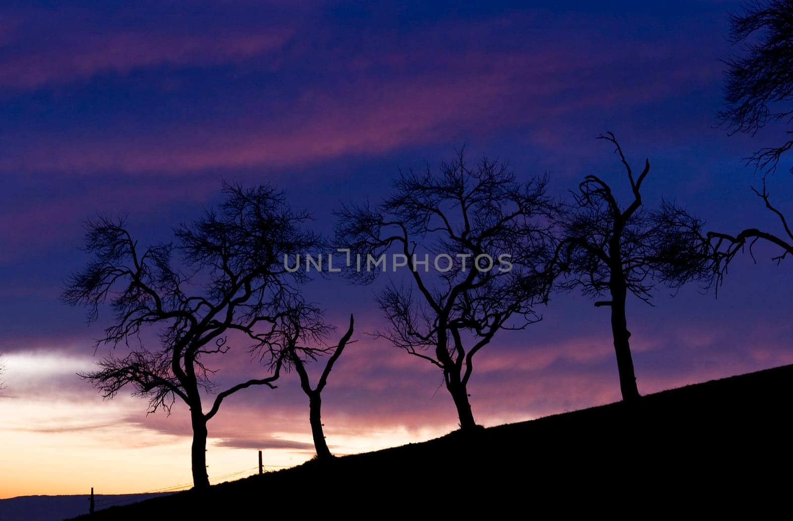 sunset or (sunset beach) or (sunset nature) or (sunset skyline)