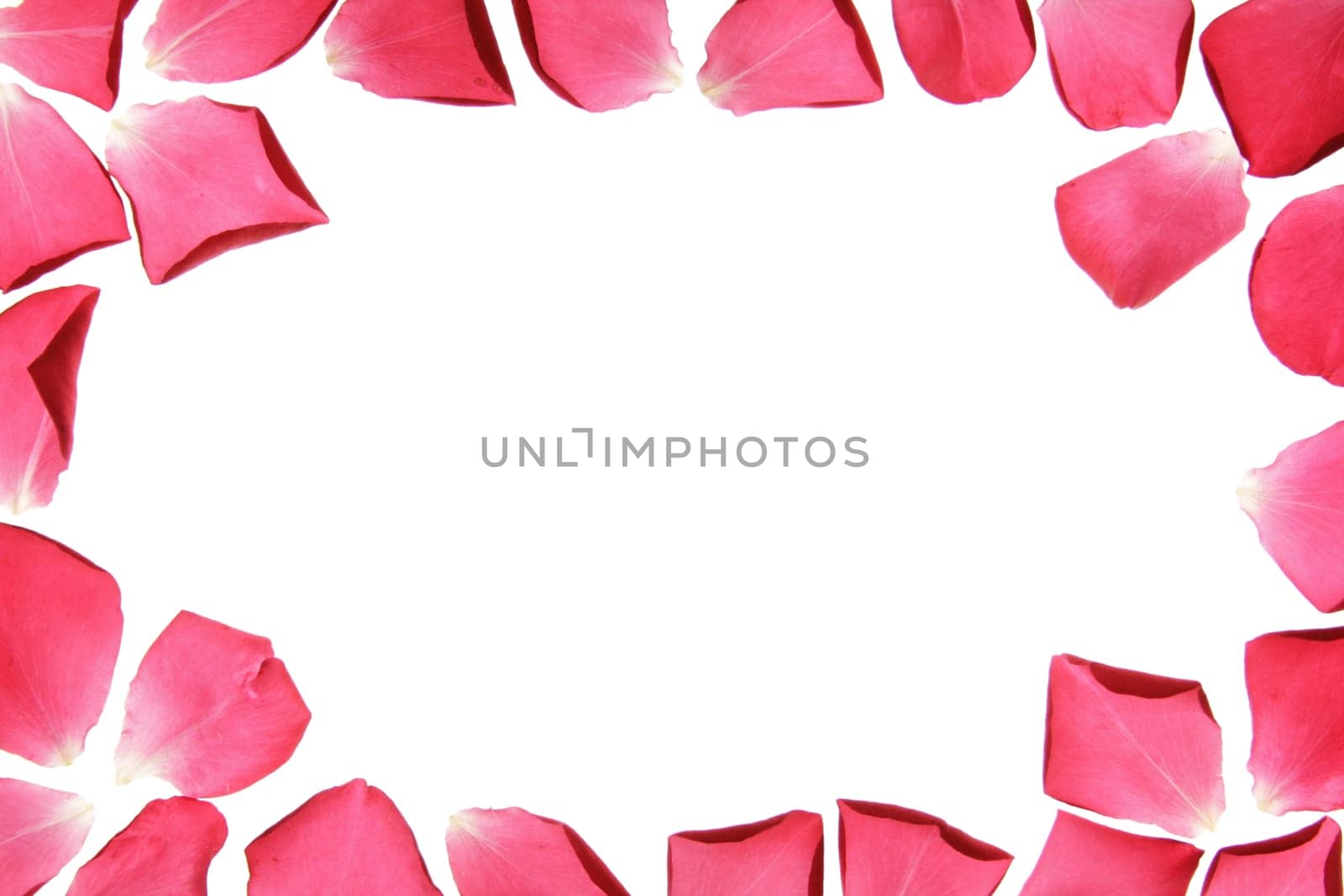 Flower frame