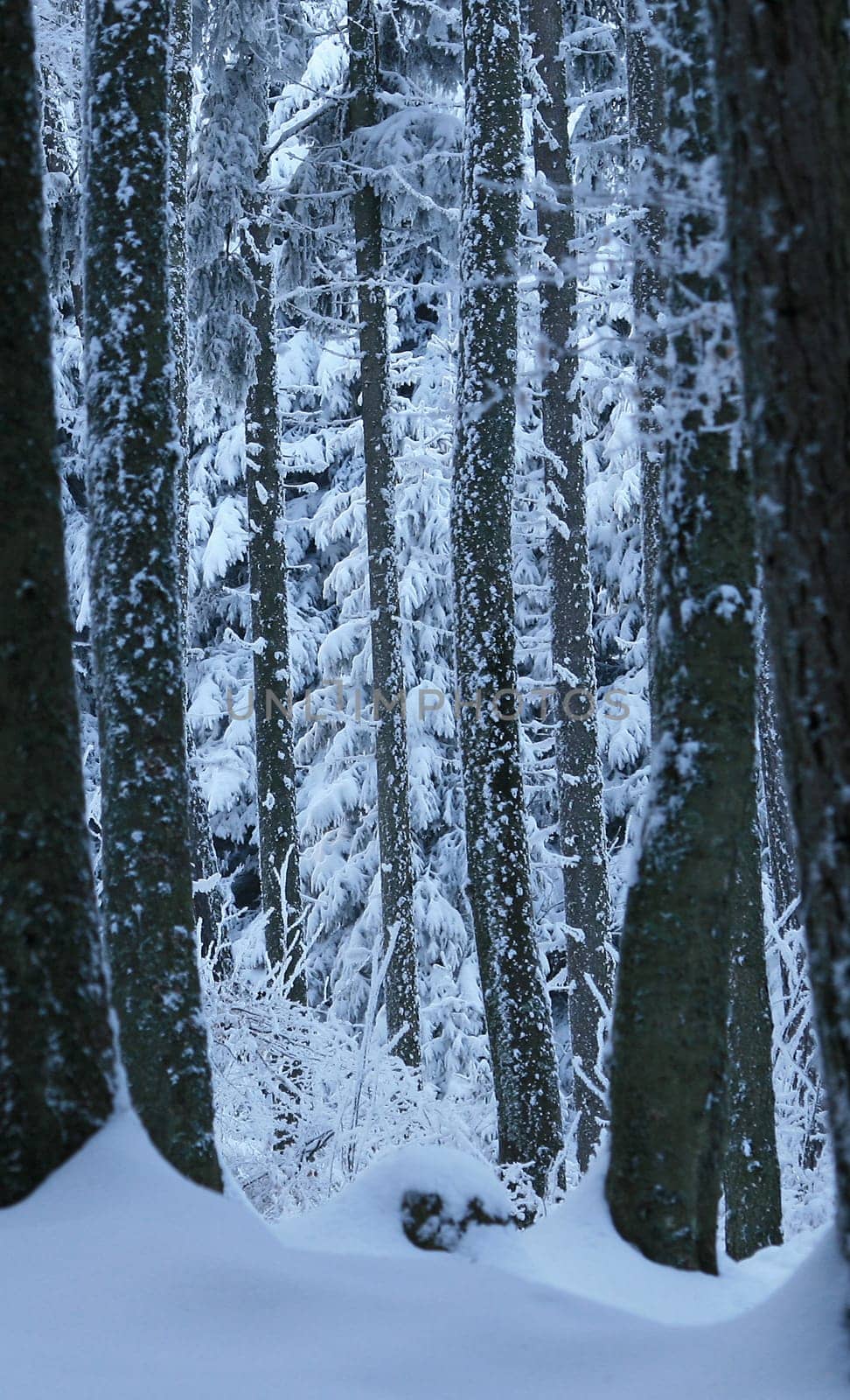 Winter weather
