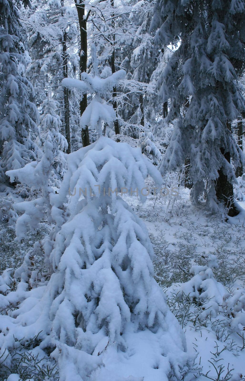 Winter weather