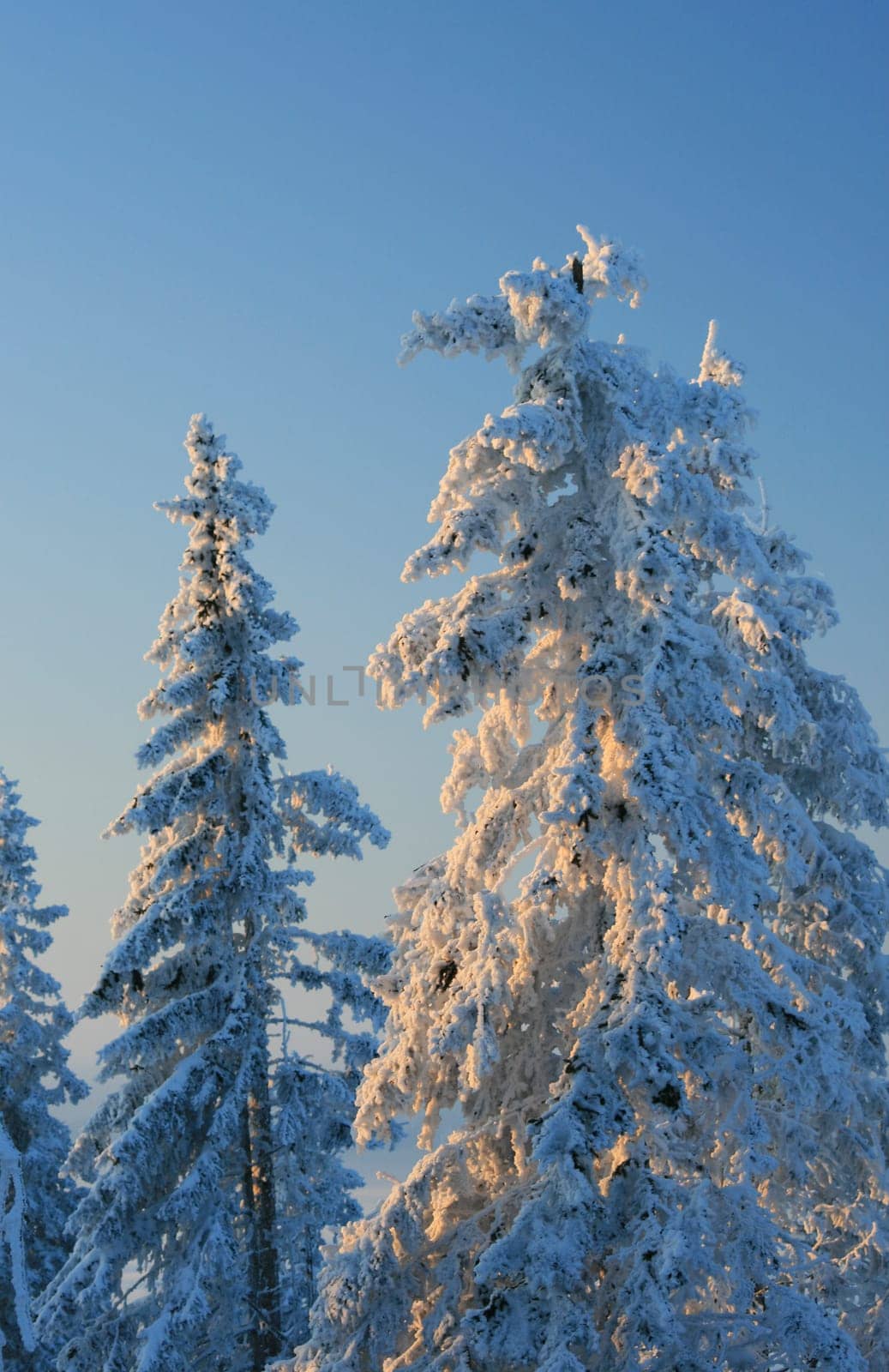 Winter weather