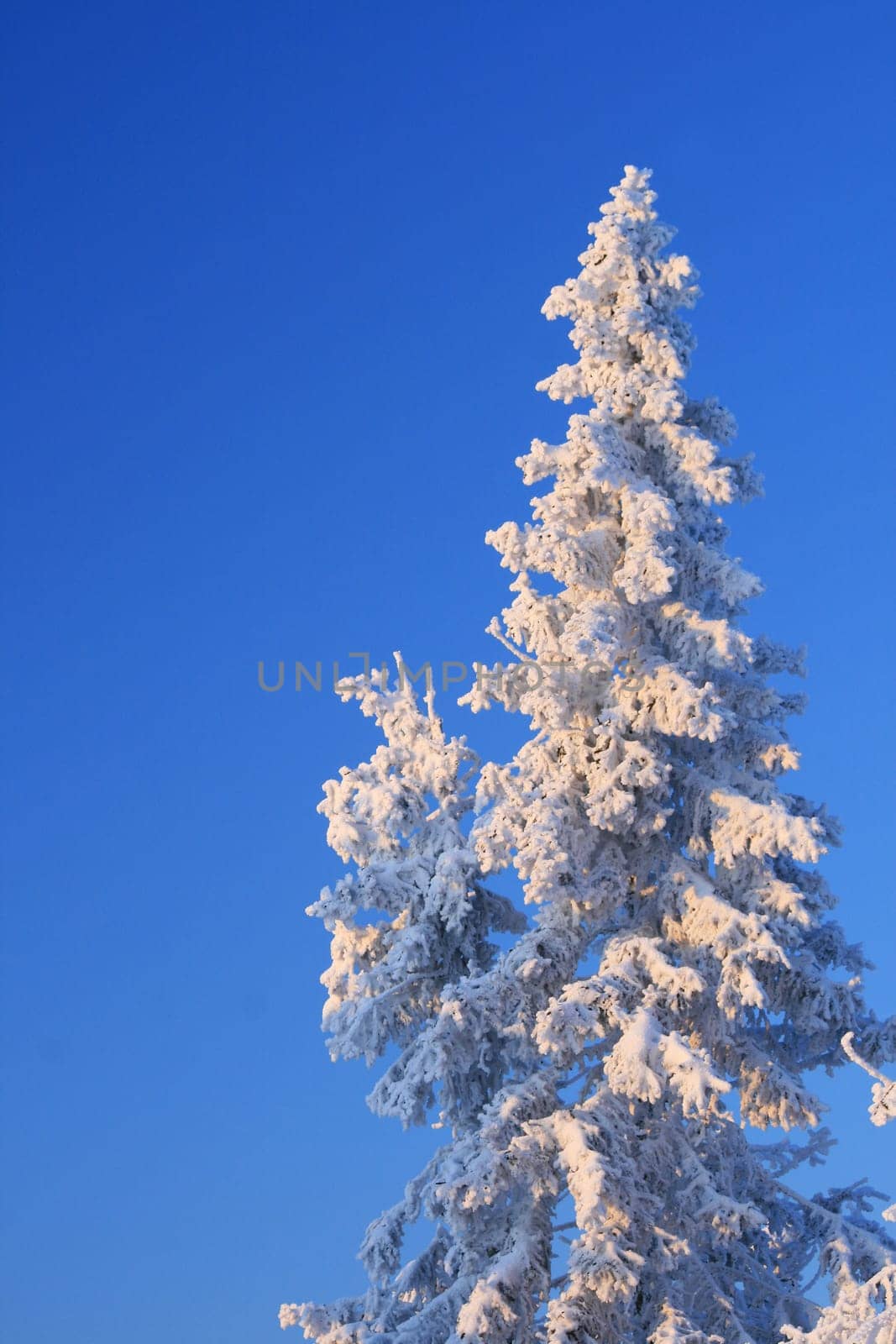 Winter weather