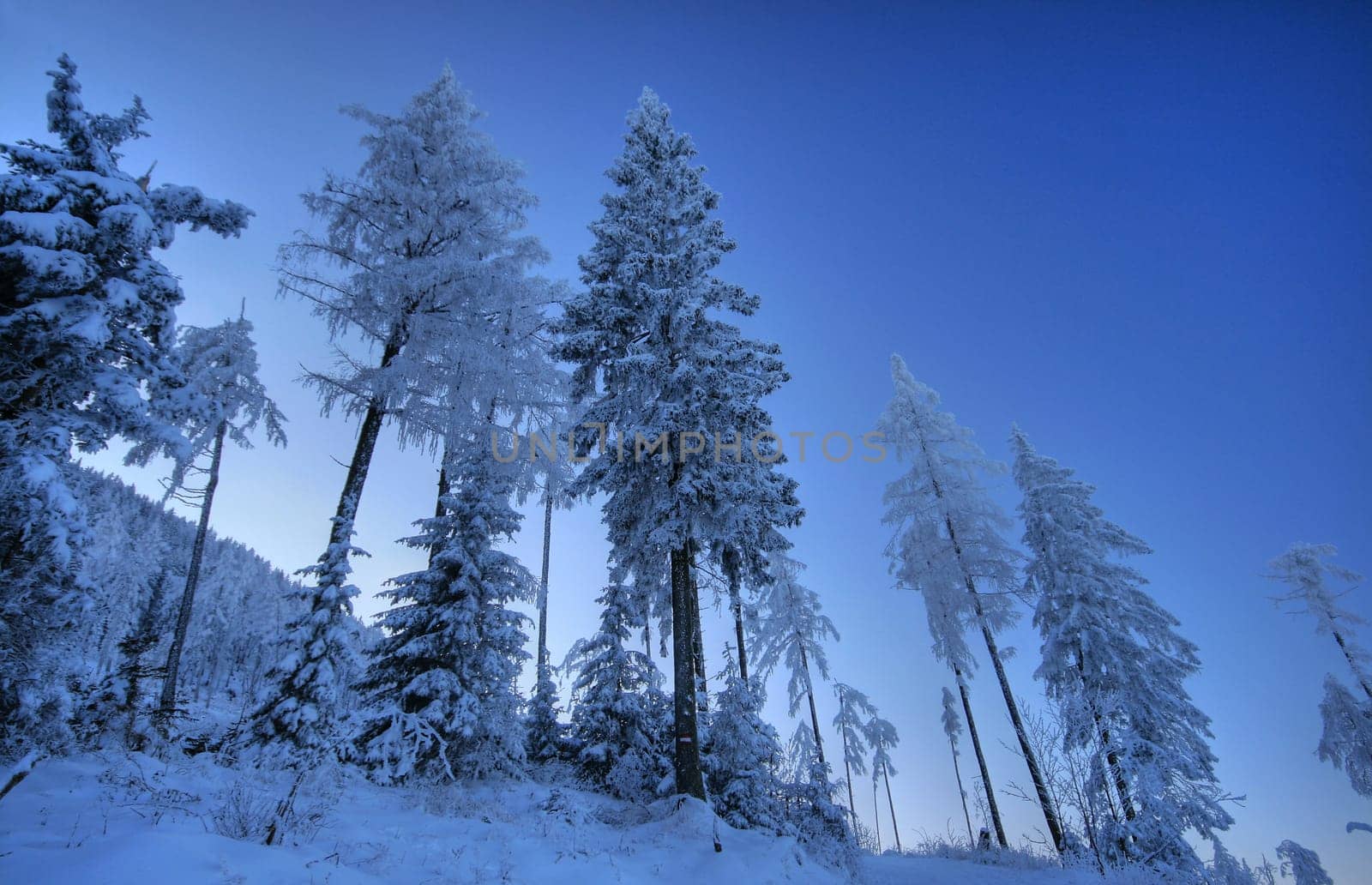 Winter weather