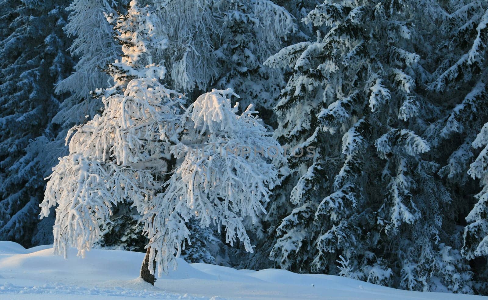Winter weather