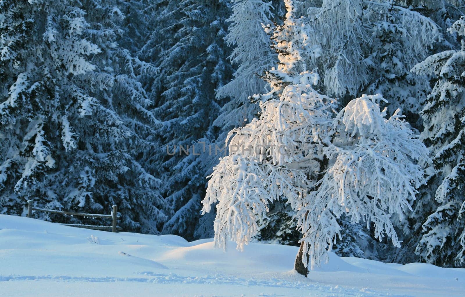 Winter weather