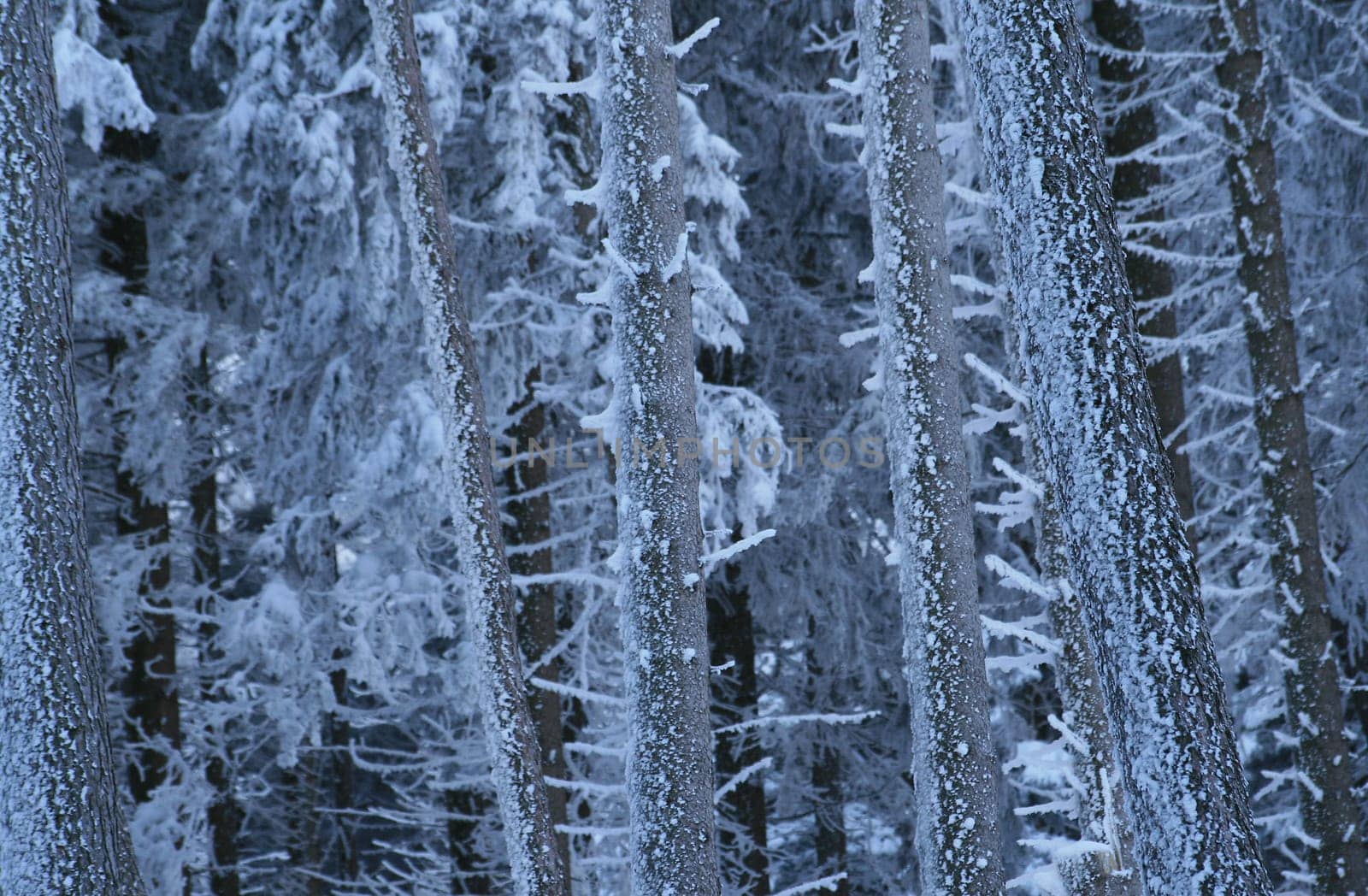 Winter weather