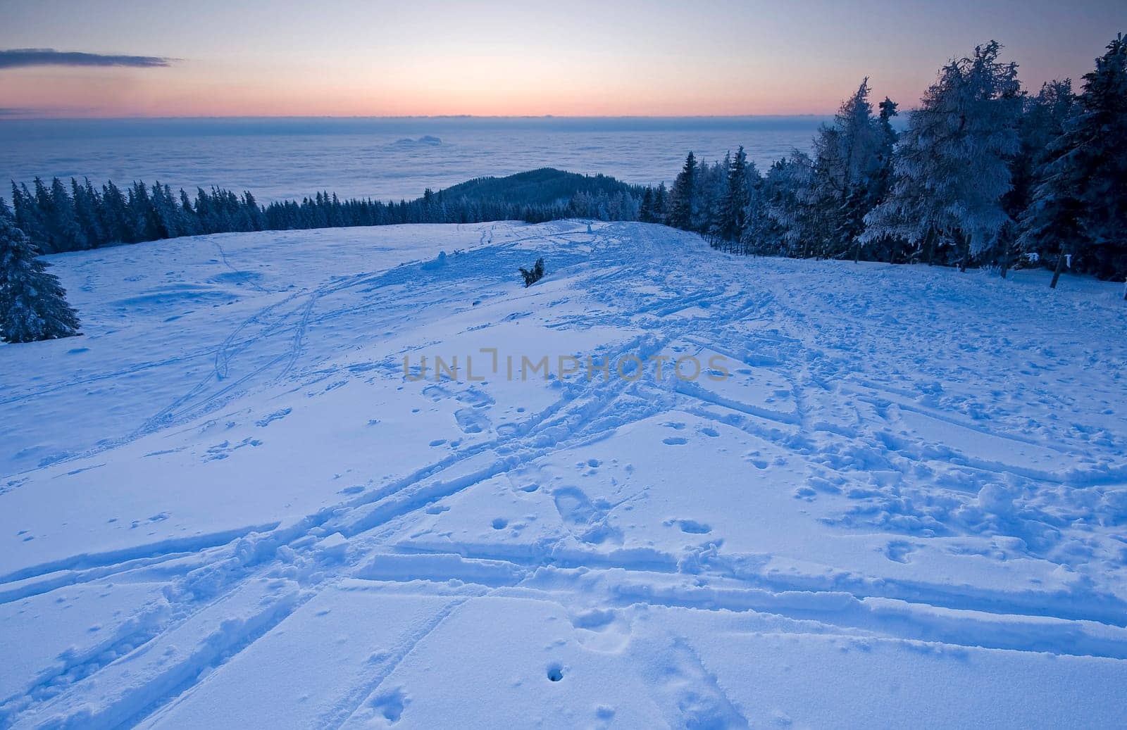 Evening on the mountain