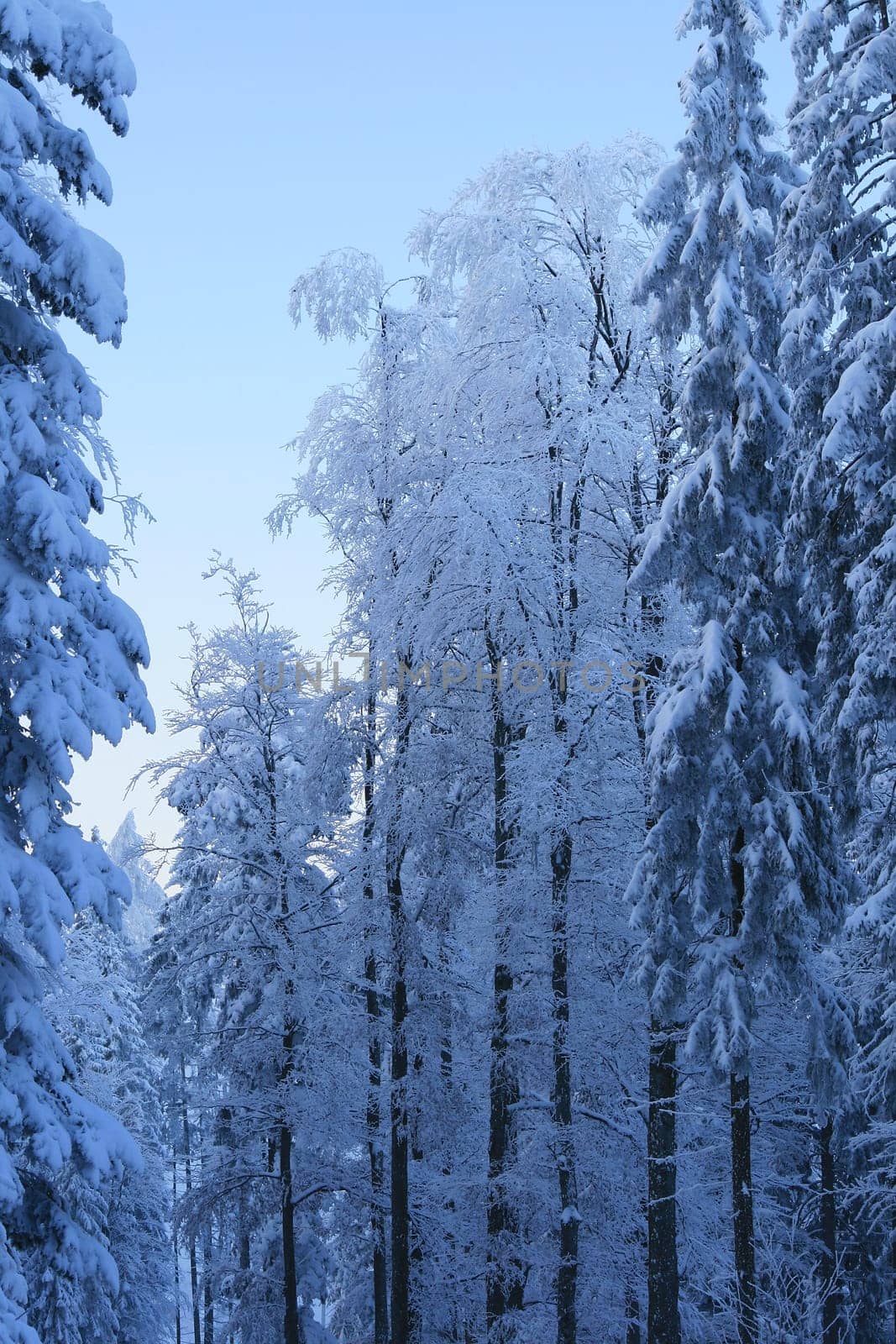 Winter weather