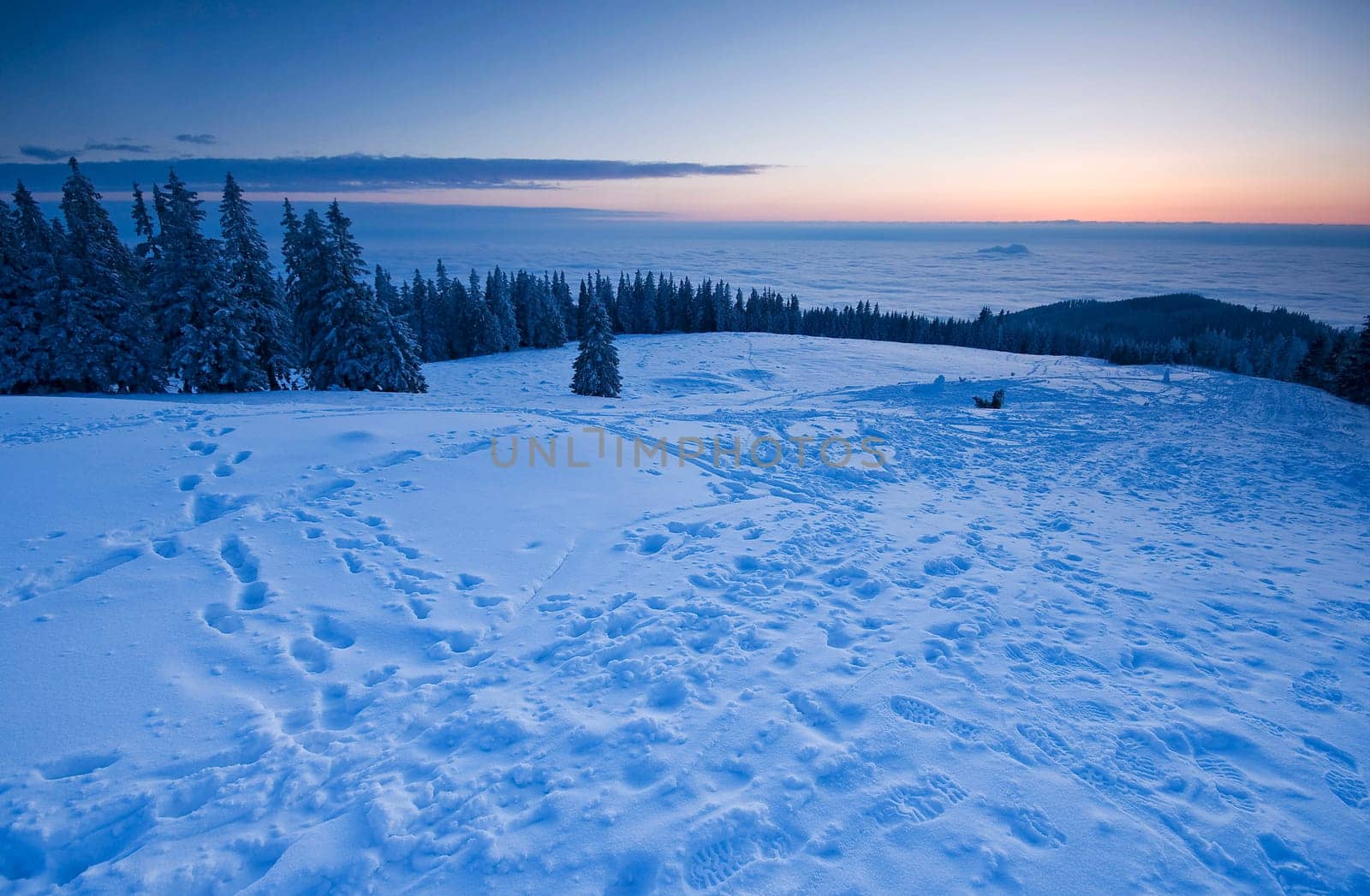 Evening on the mountain