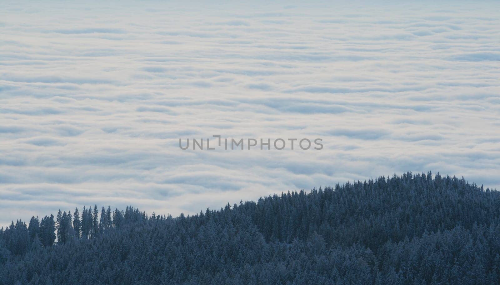 Winter weather
