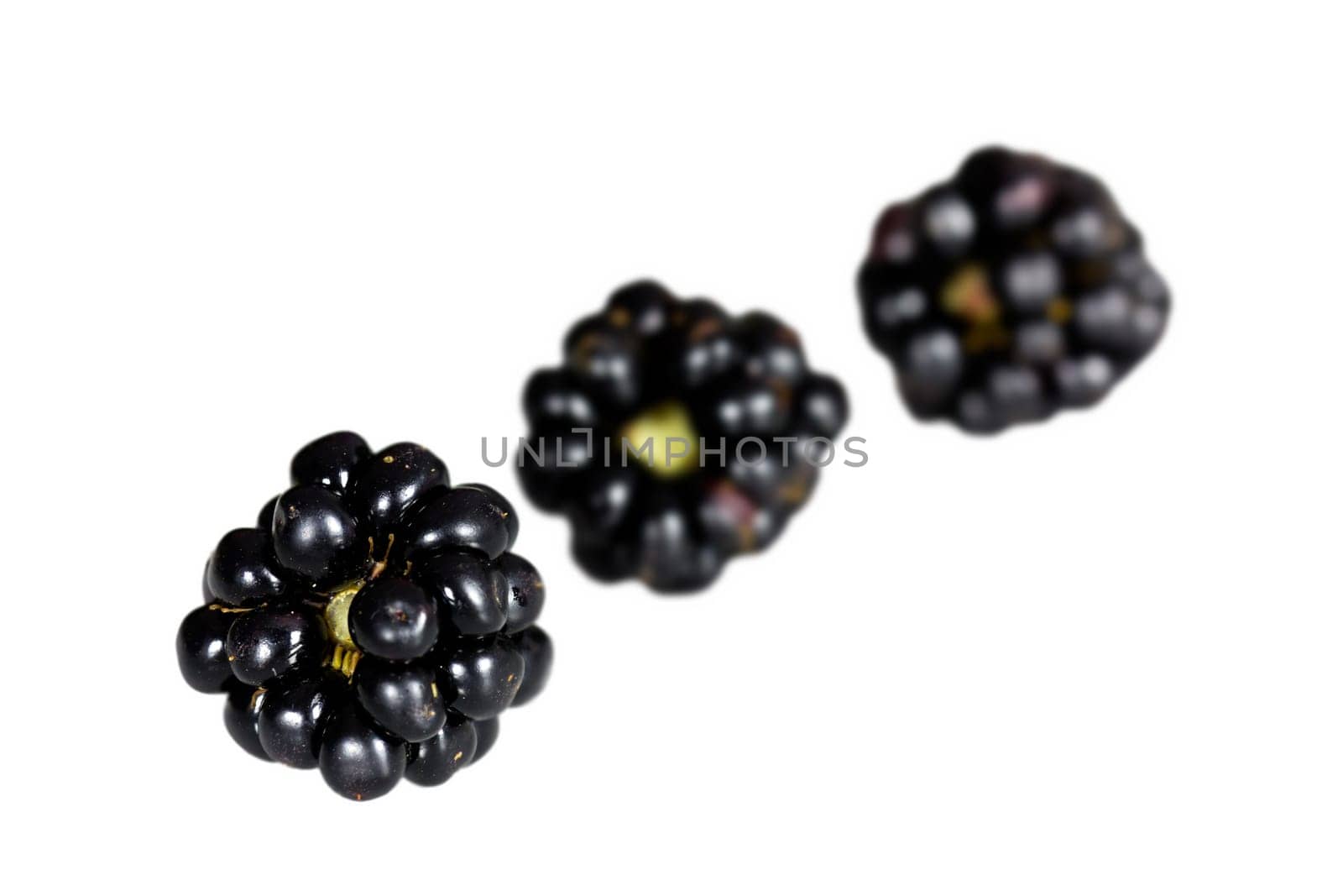 Fresh blackberries,cut-out