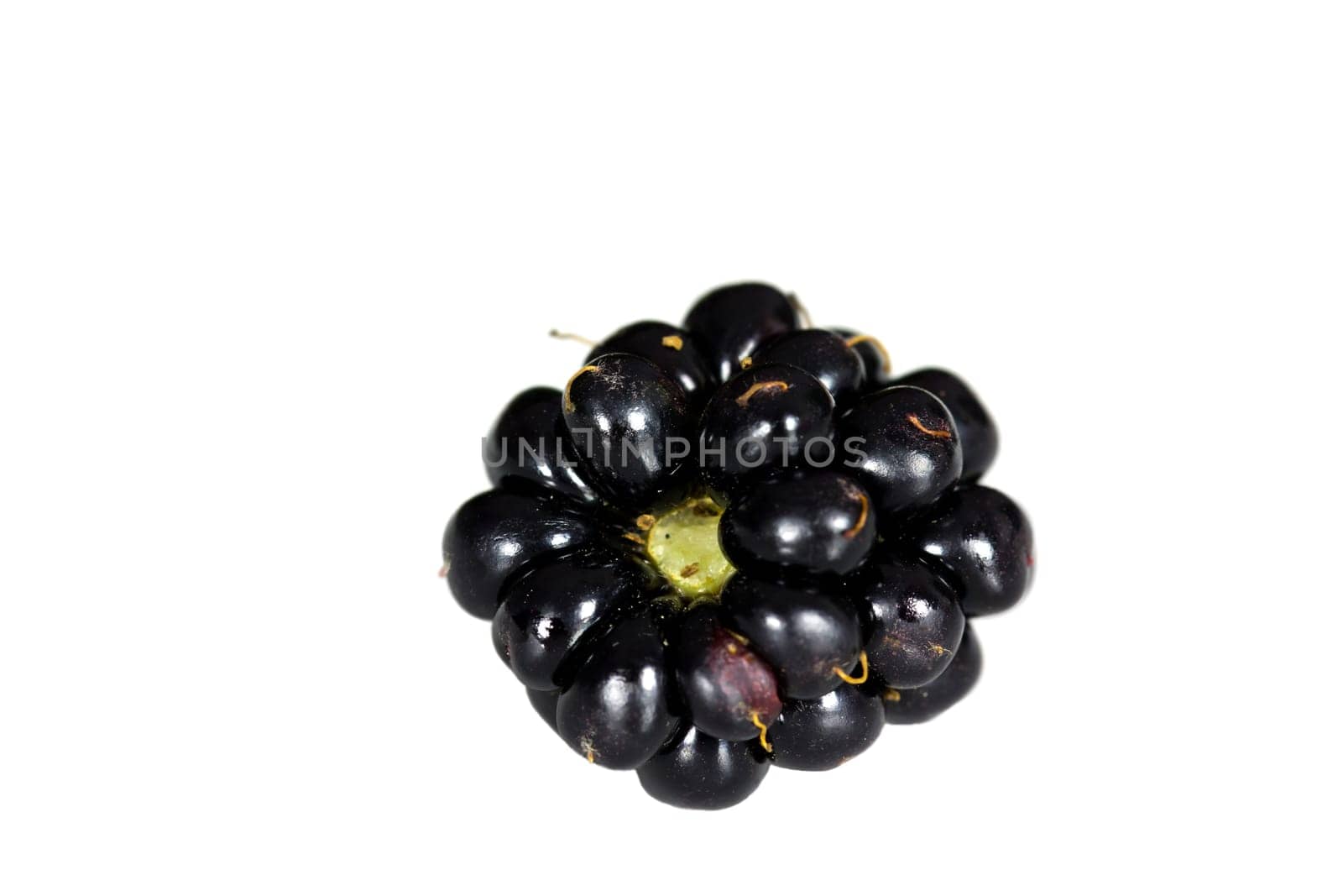 Fresh blackberries,cut-out