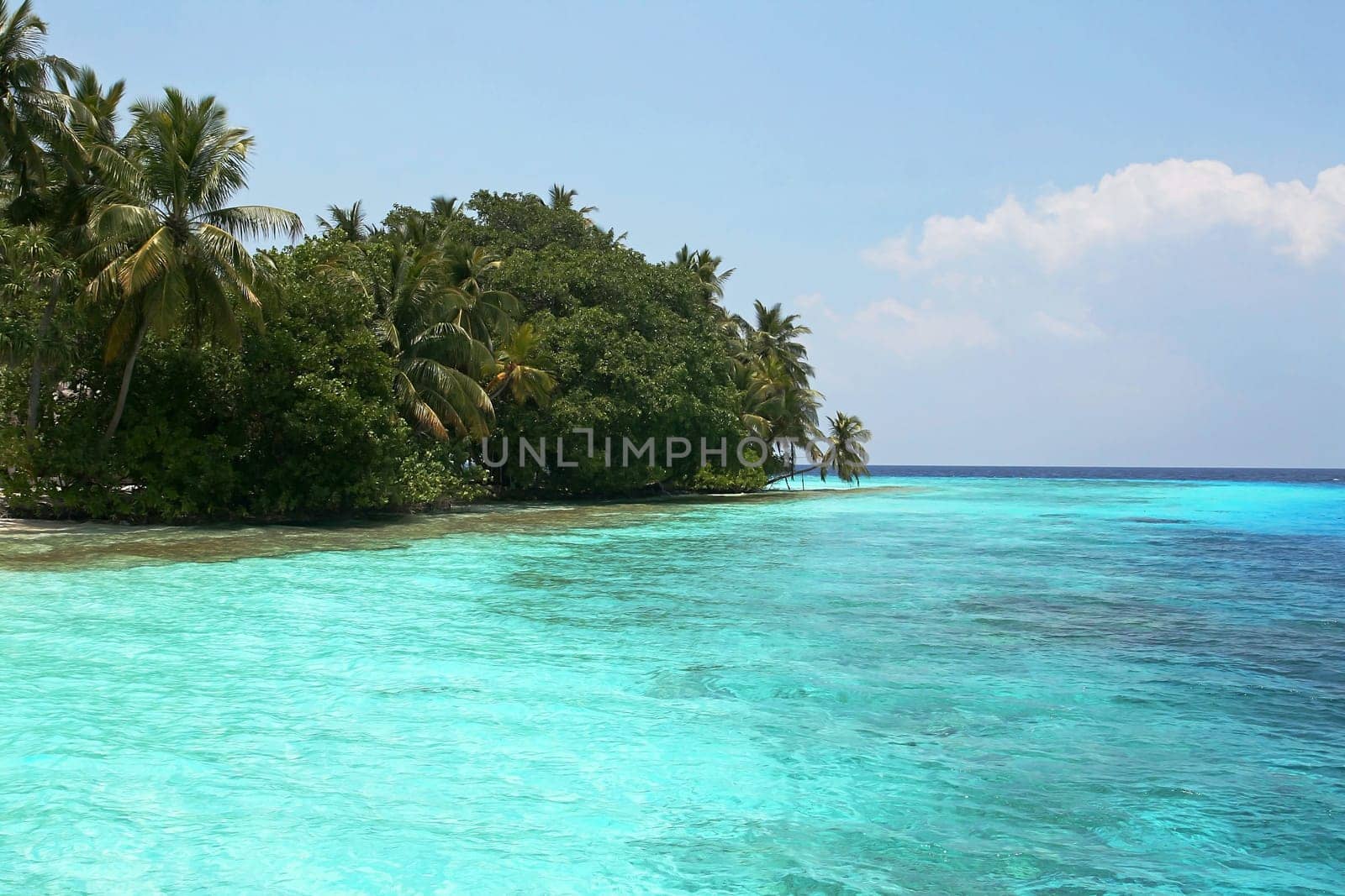 Turquoise waters in the Maldives