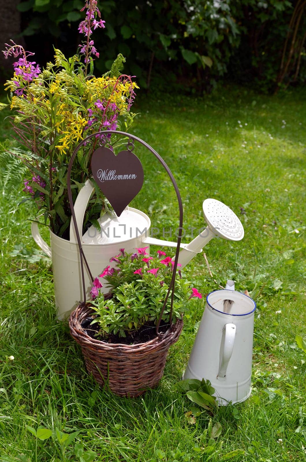Garden Decoration Pot Flowers