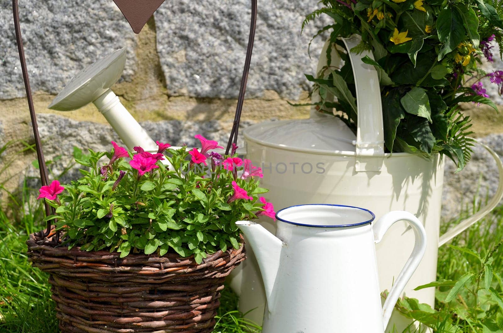 Garden Decoration Pot Flowers