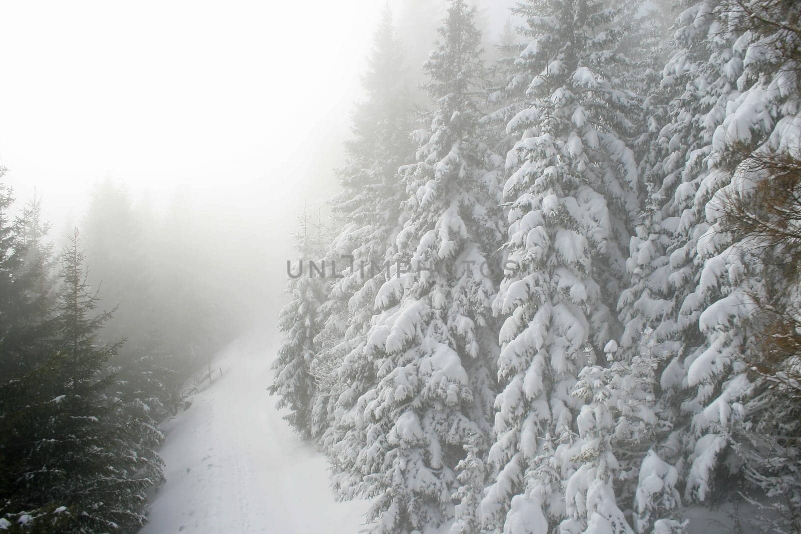 Snow in the Alps