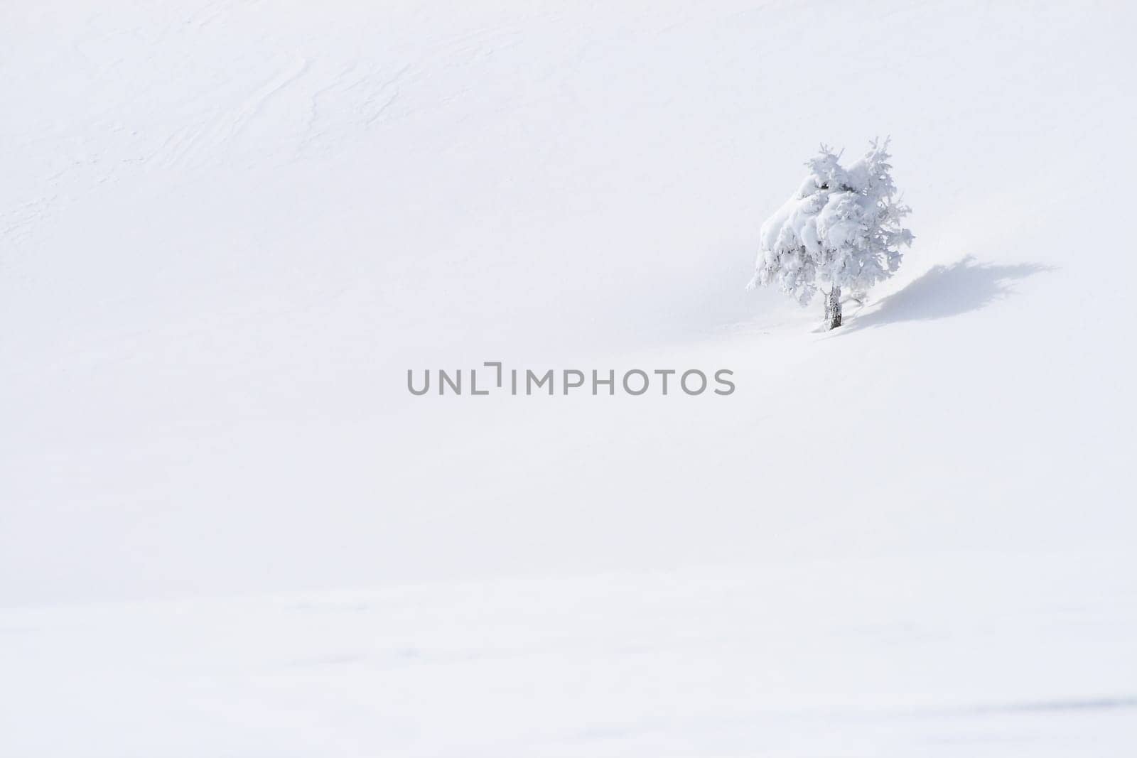 Snow in the Alps