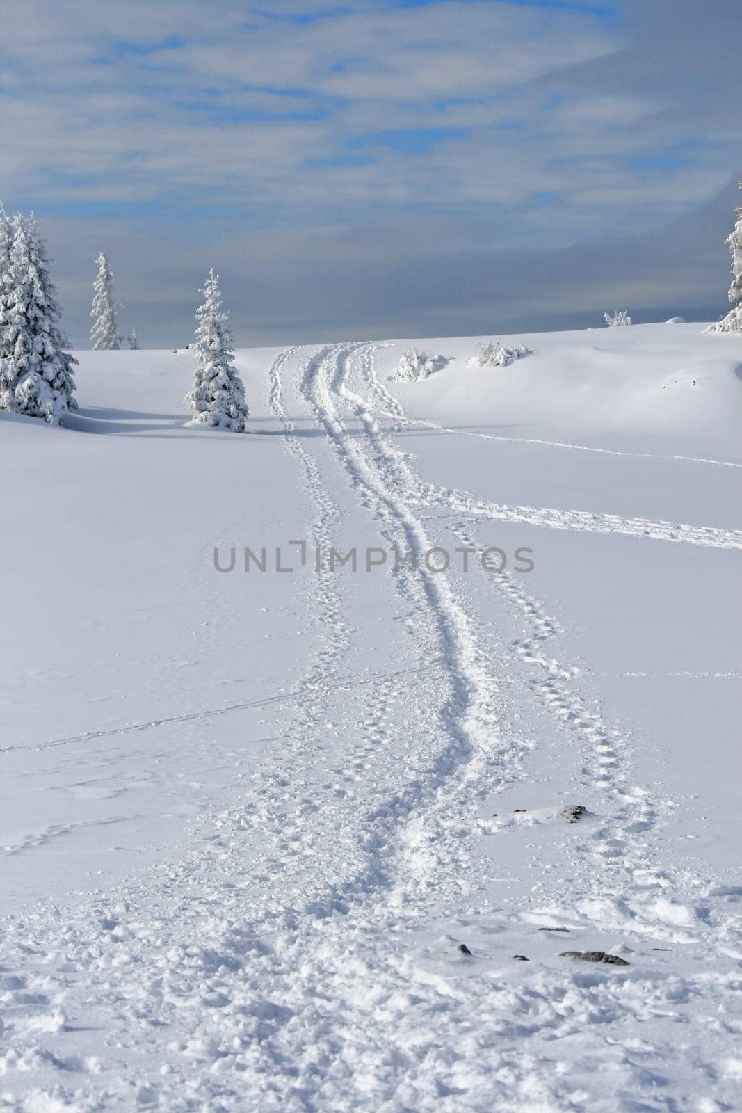 Snow in the Alps