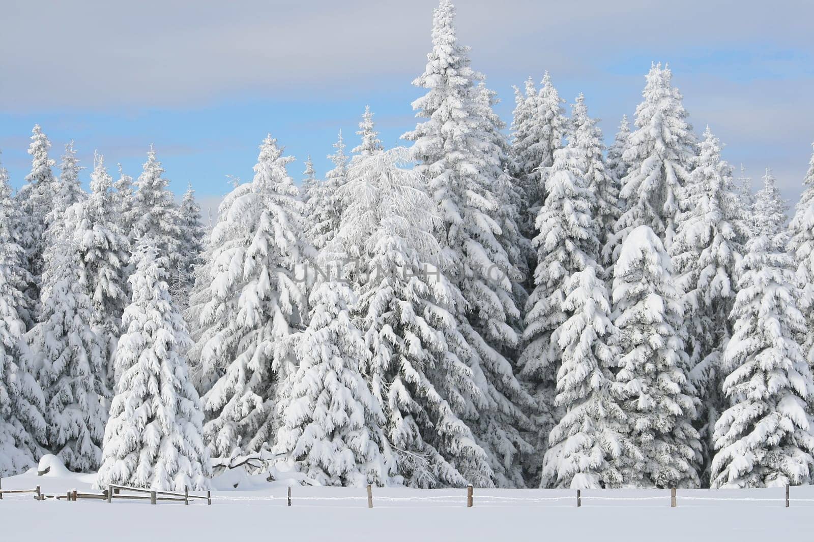 Snow in the Alps