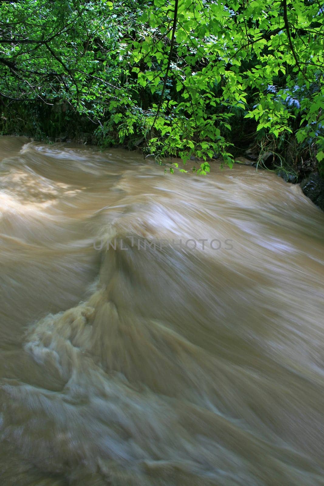 Flood