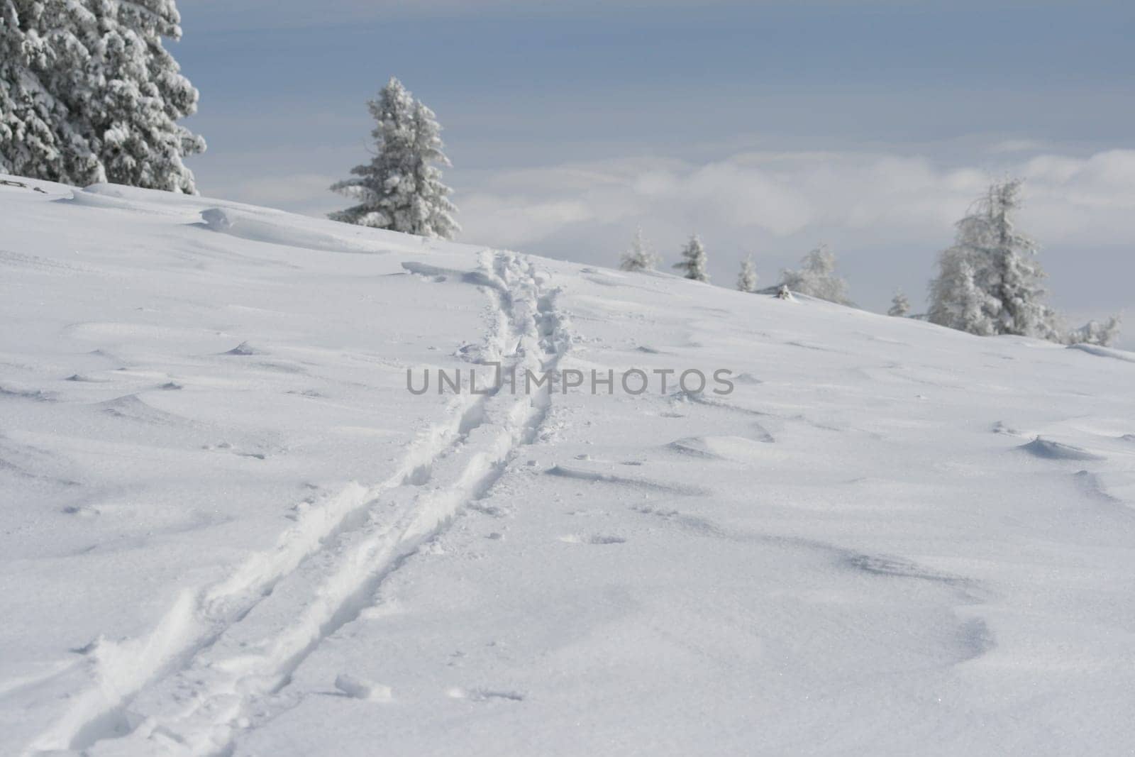 Snow in the Alps