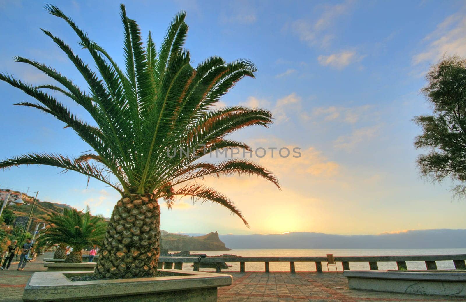 Madeira