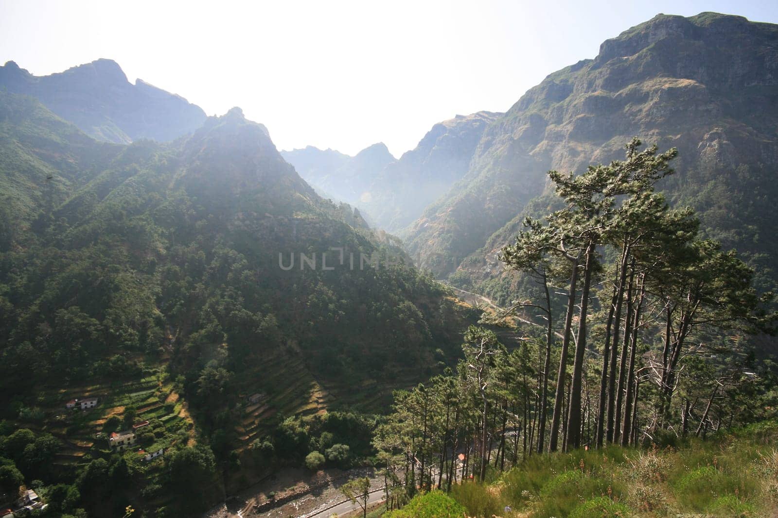 Madeira
