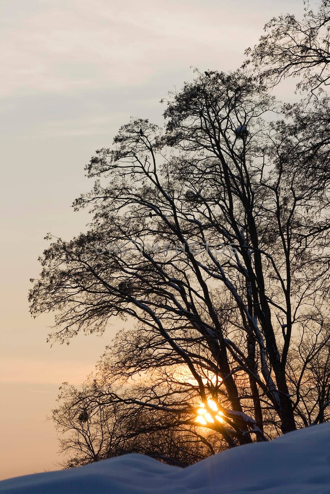 Sunset in winter