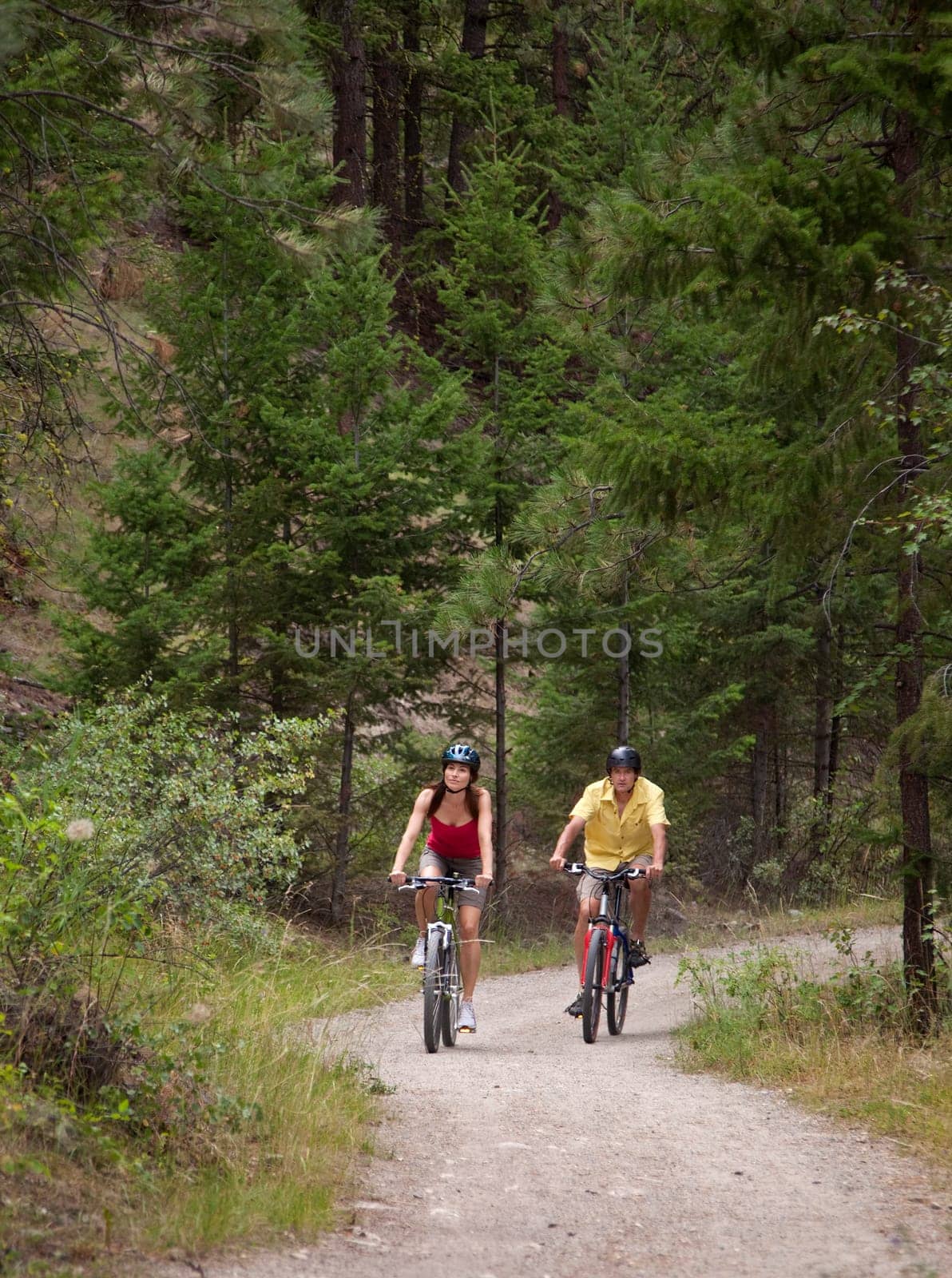Outdoor photo of young adult couple riding bicycles on forest trail.