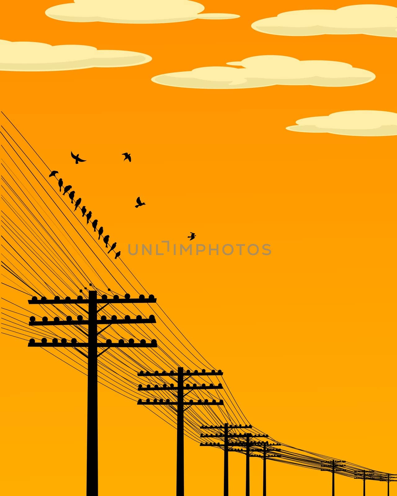 Background illustration wirth birds and telegraph poles silhouettes.