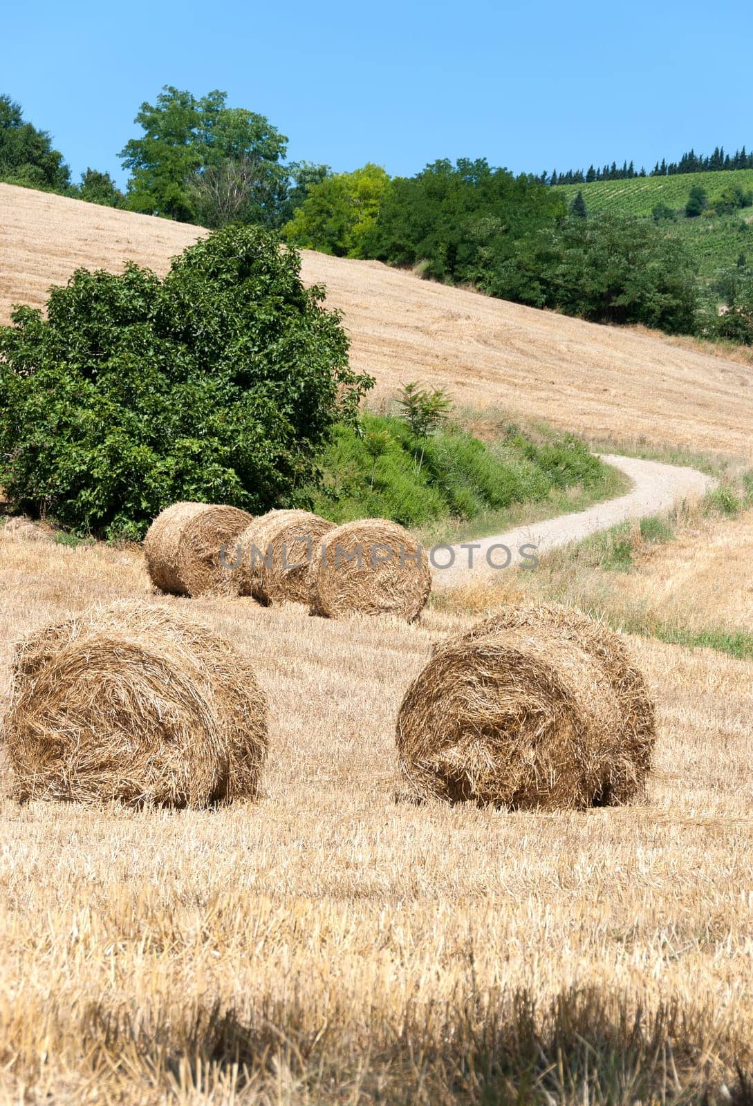 hill road with bales of hay