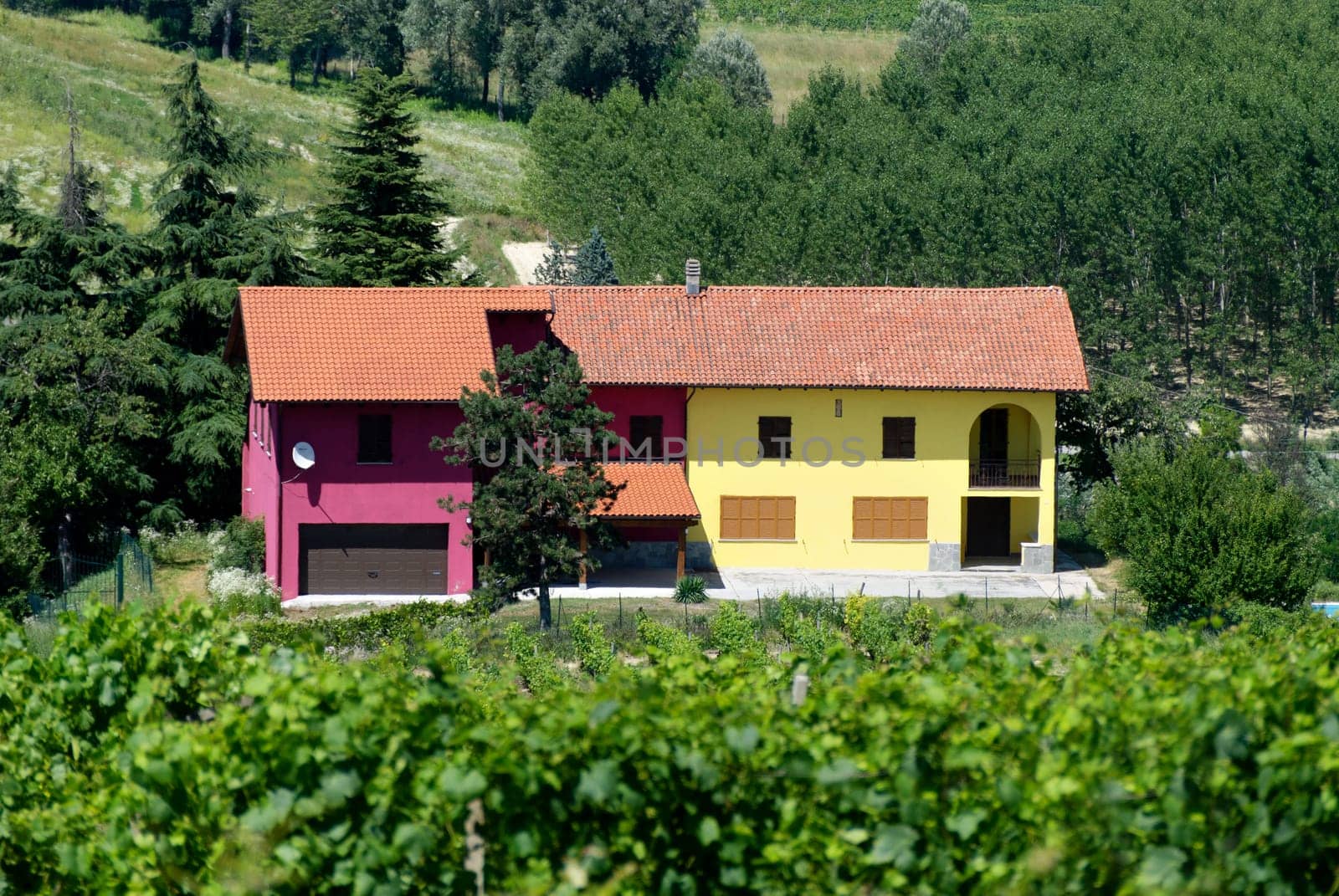 house of three colors