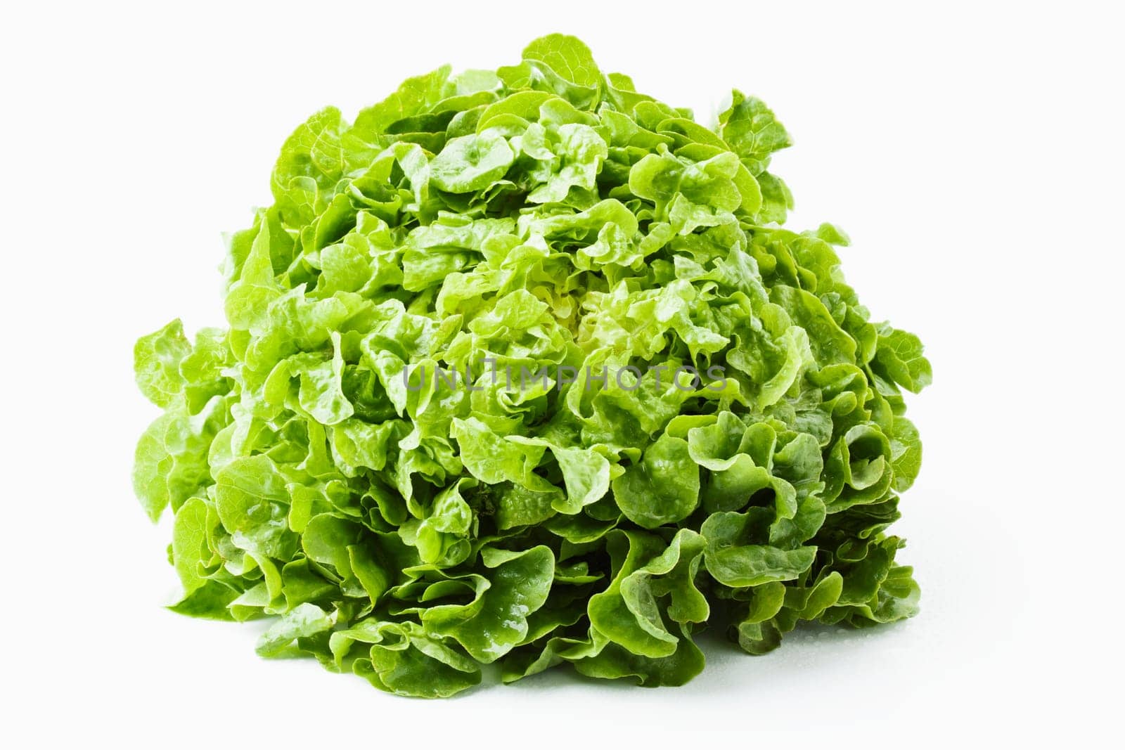 Lollo light salad