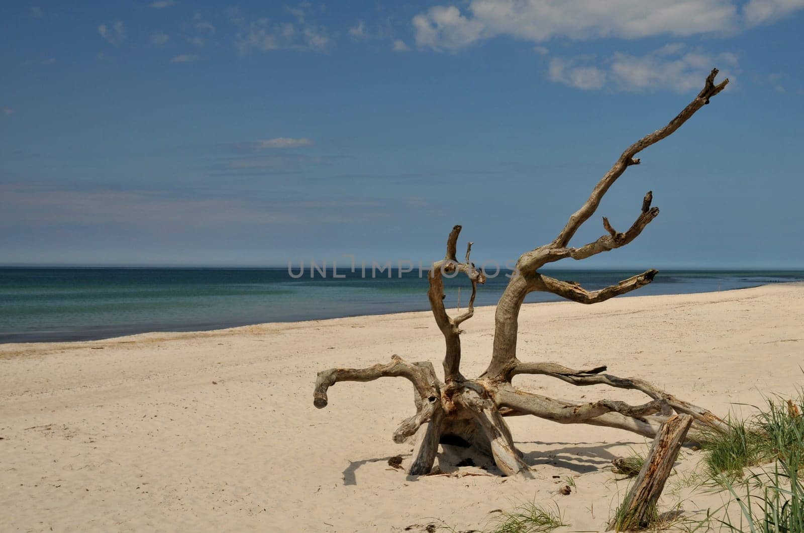 Darßer Strand