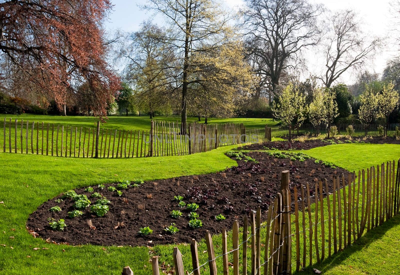 A garden in spring in St James&#039 s Park, London, UK