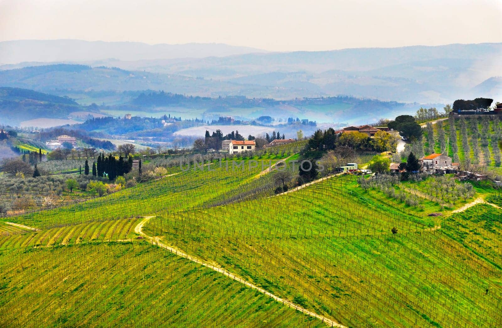 Typical Tuscany landscape in spring, Italy