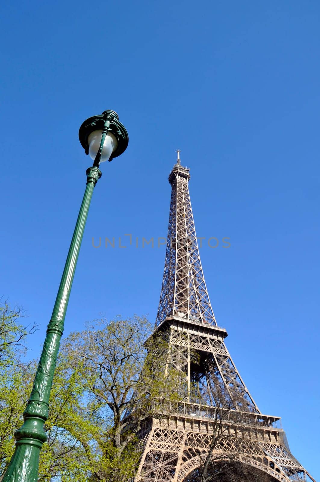 The Eiffel Tower in Paris
