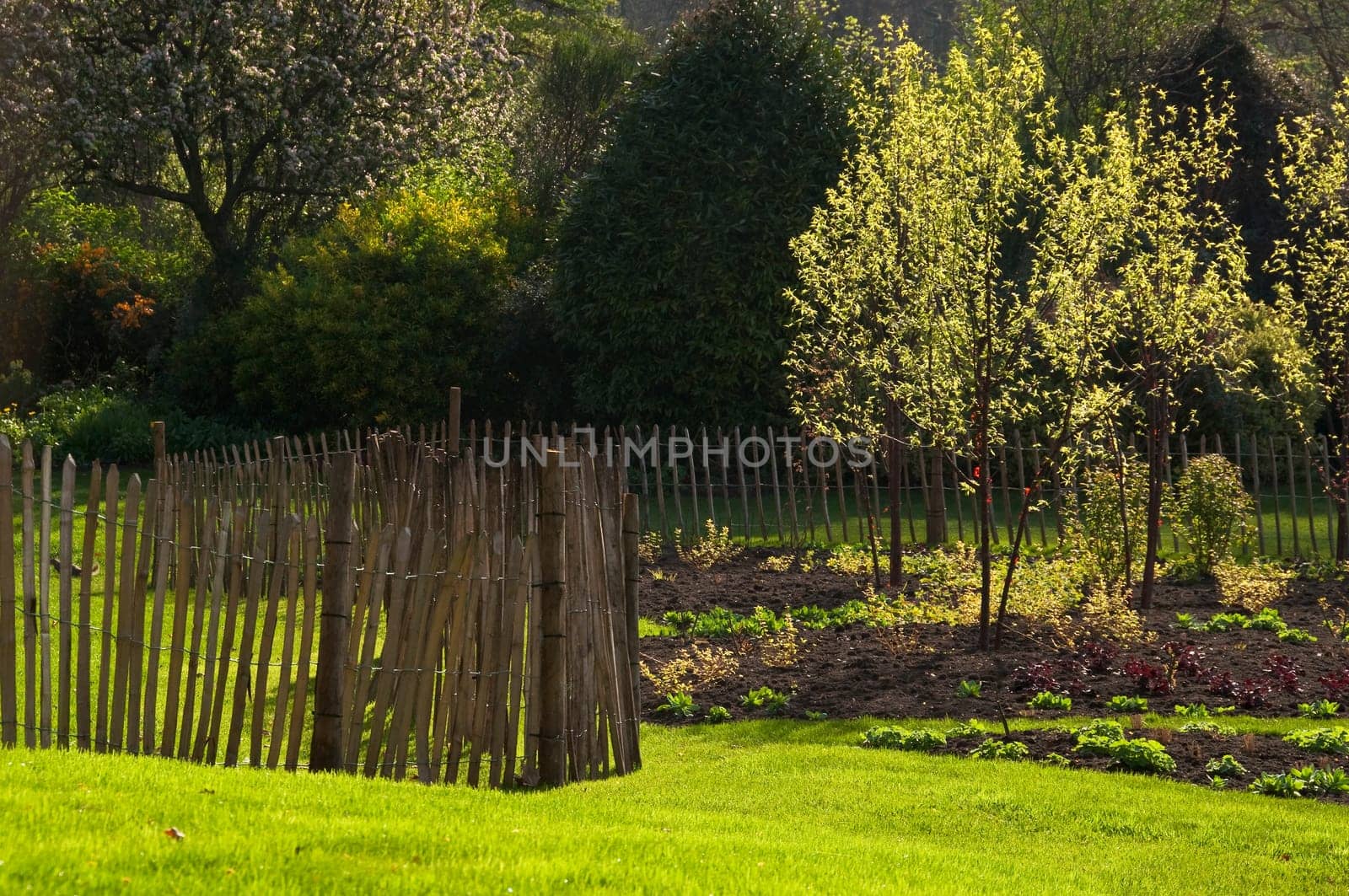 Spring in an English garden