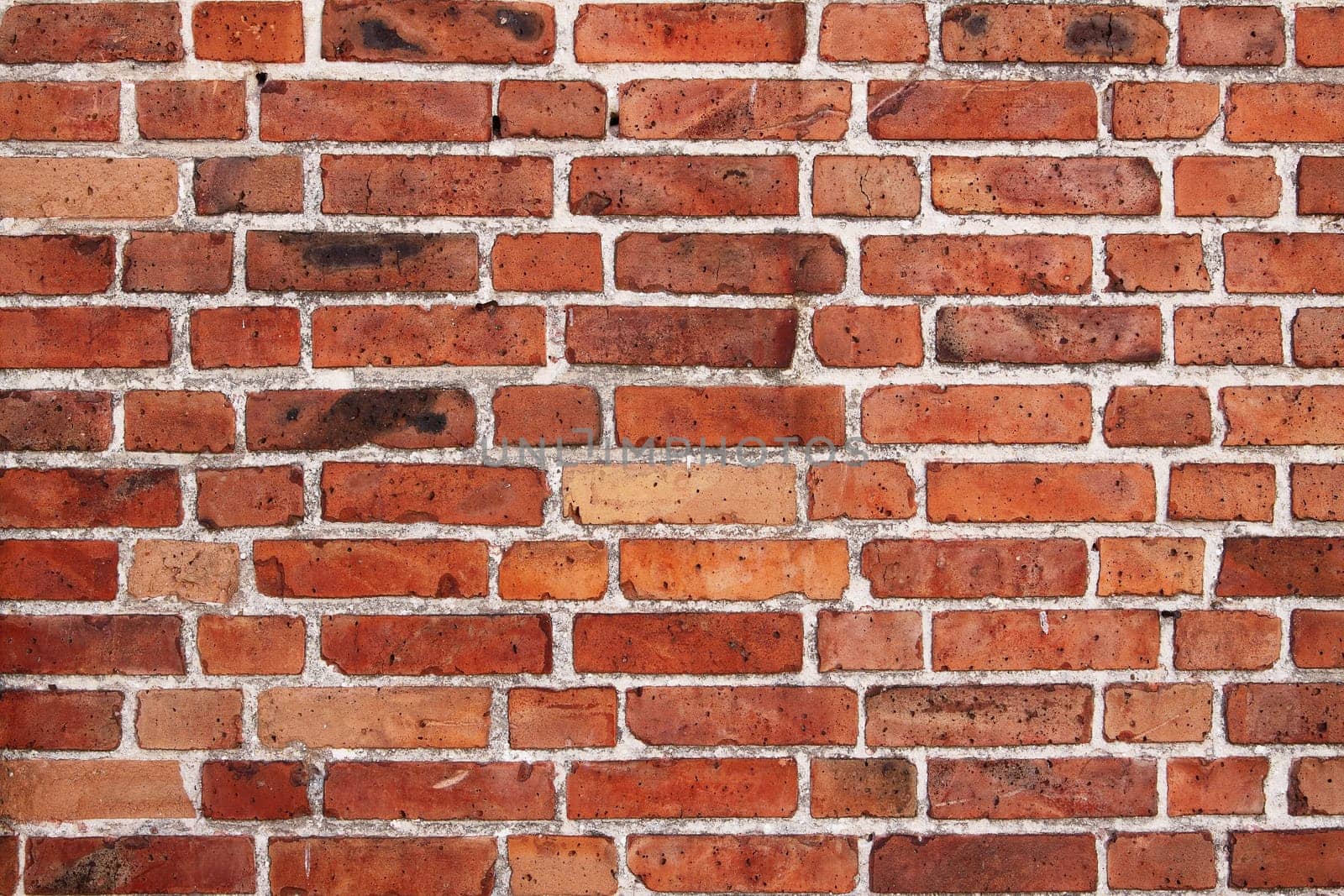 Texture - Wall