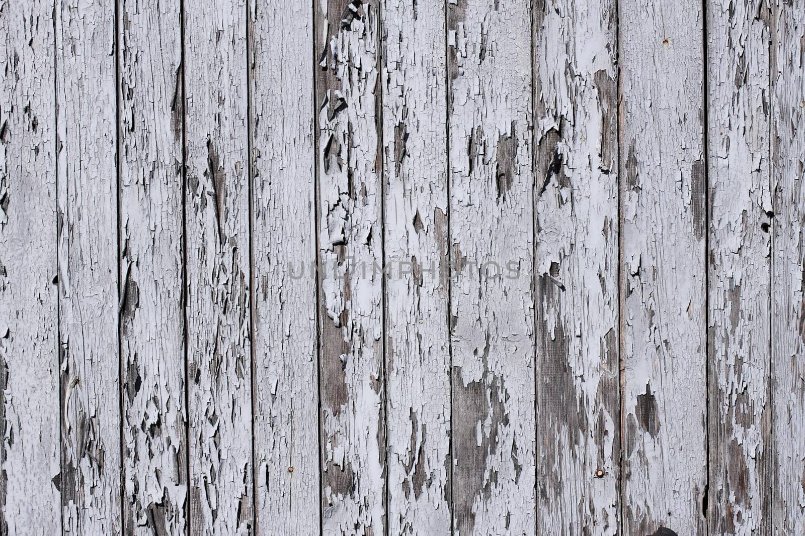 Texture - wooden wall with old paint