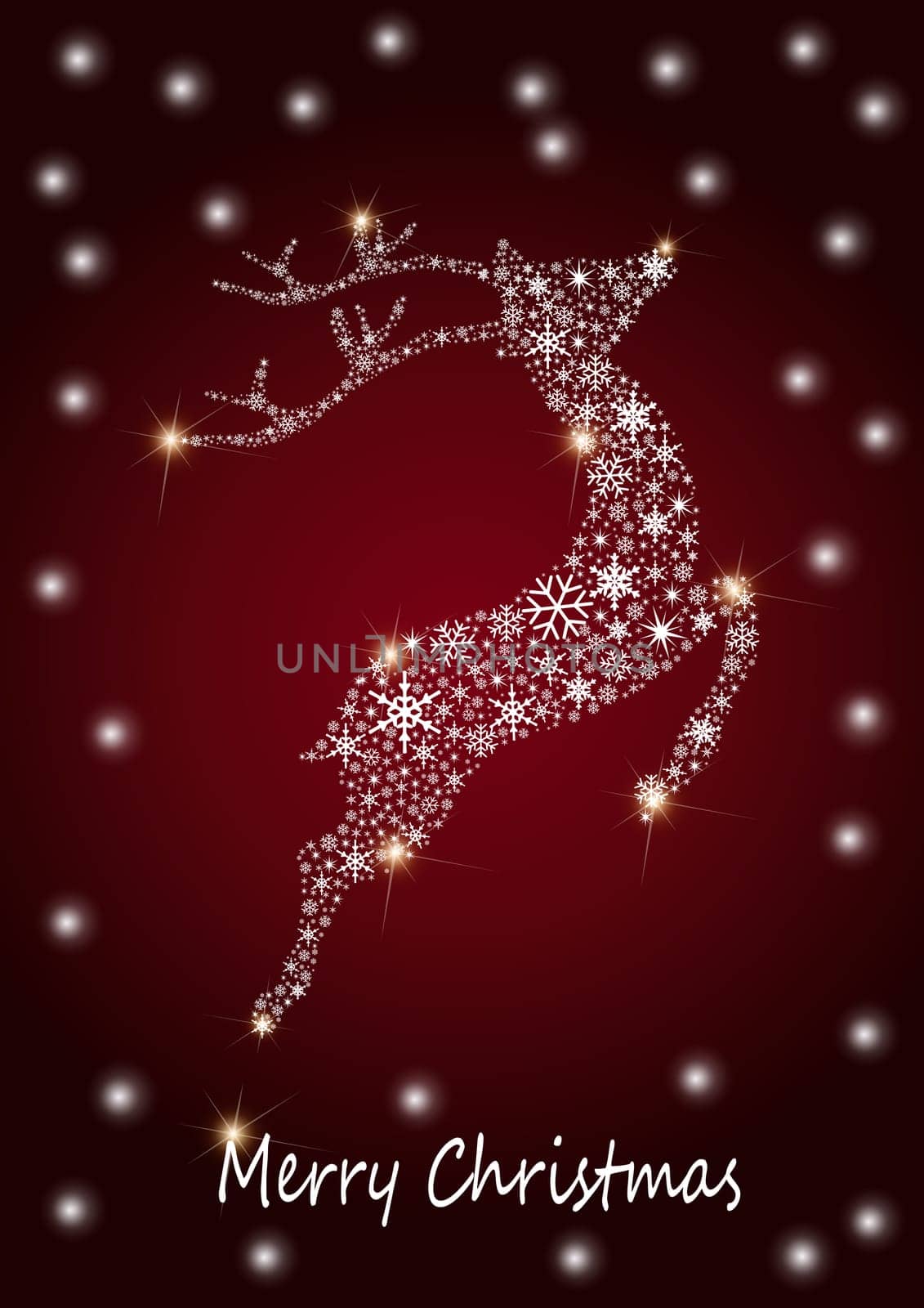 Reindeer