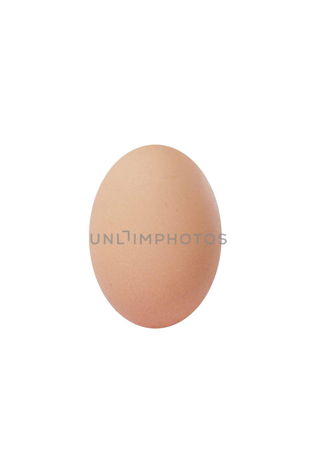 Egg Isolated