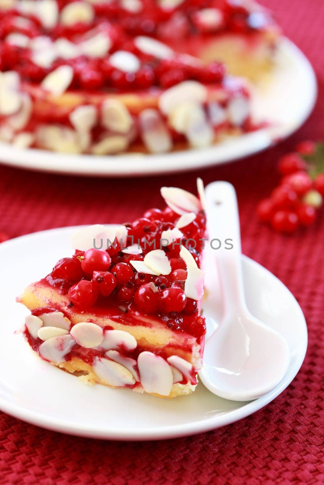 Delicious cheesecake with redcurrant and almond