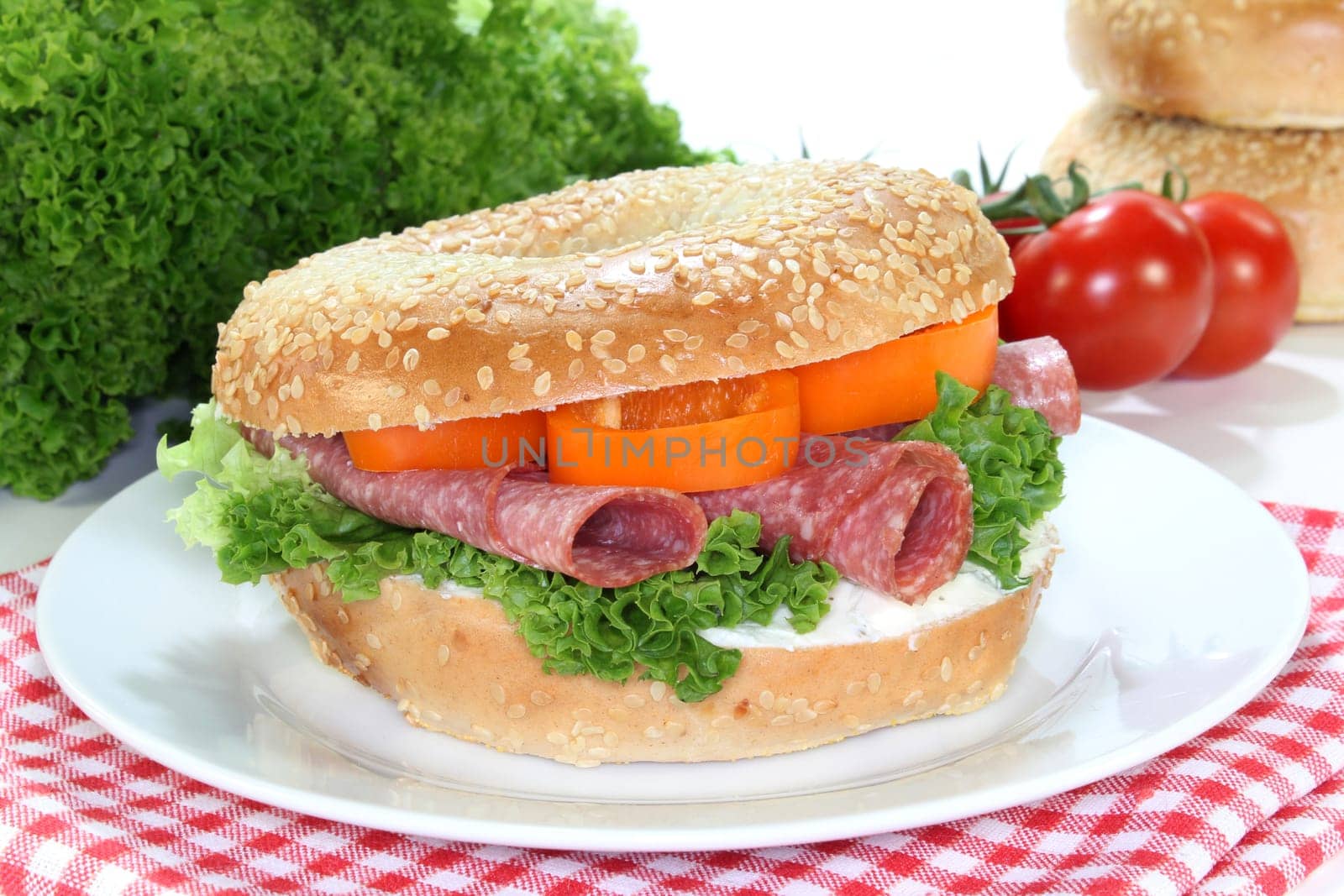 a bagel topped with salami and paprika