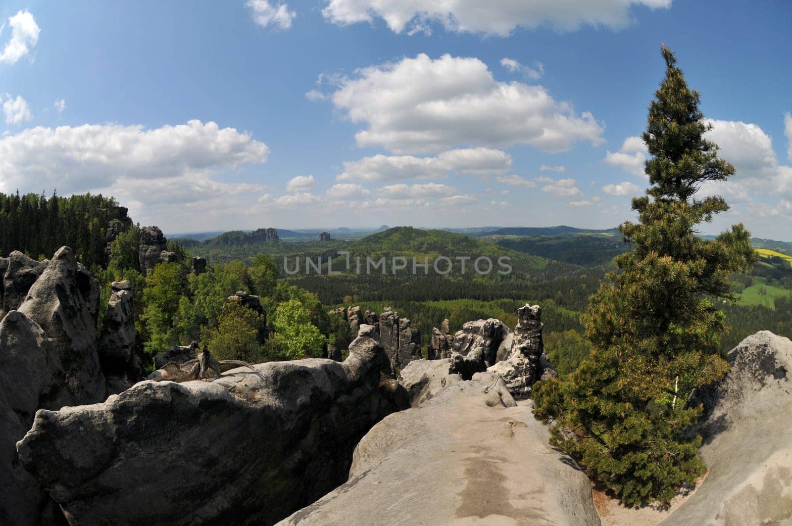 View from the Affensteine to the Falkenstein in Saxon Switzerland