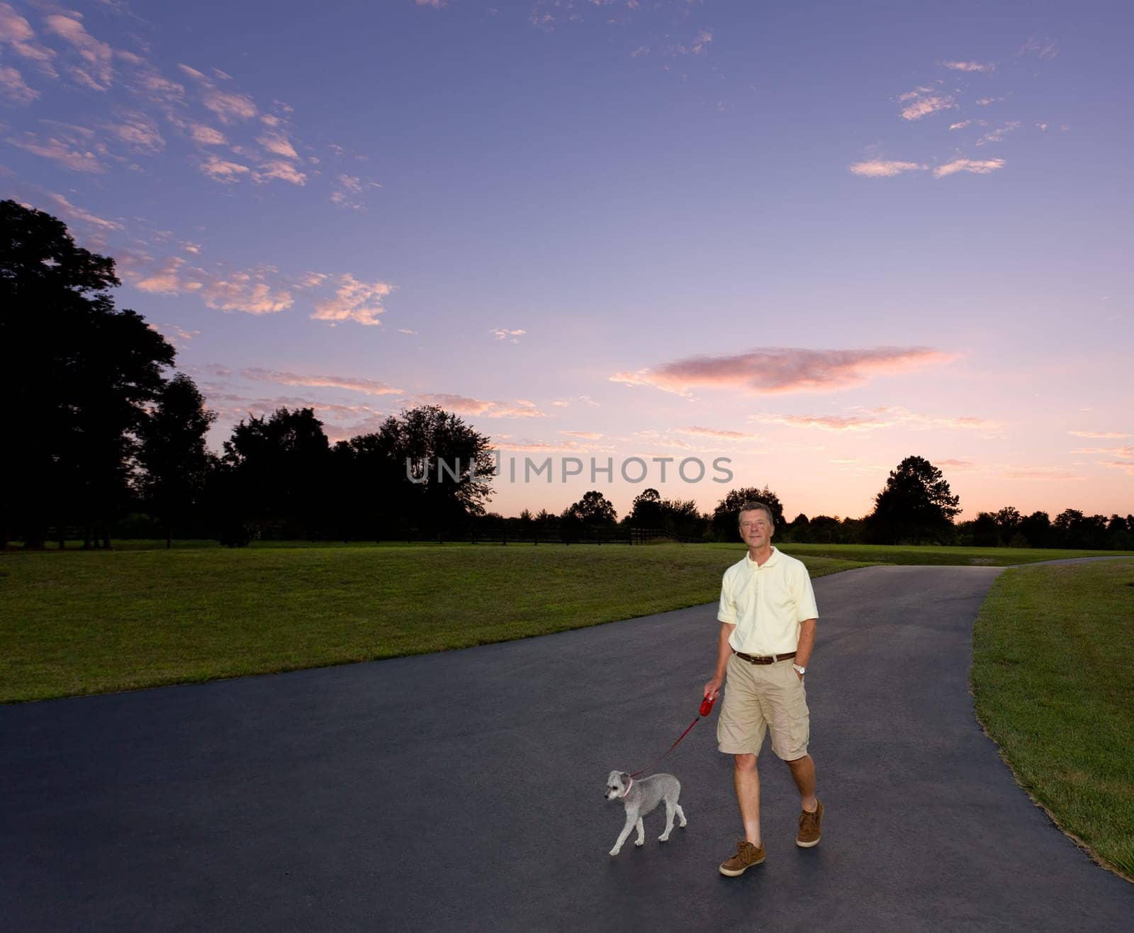 Senior man walking small puppy at dusk as the sun sets behind them