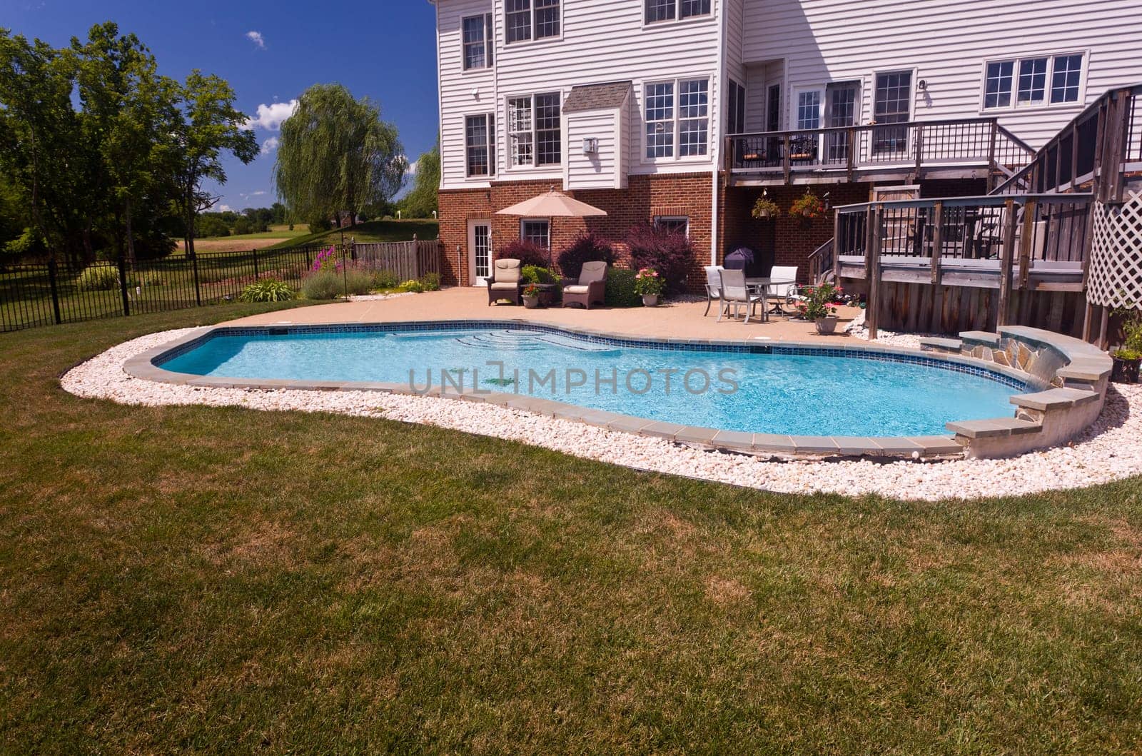 Dramatic back yard swimming pool and garden behind modern single family home