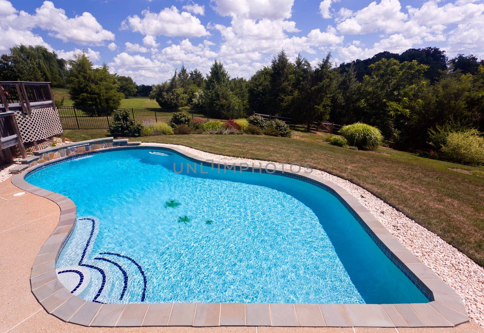 Dramatic back yard swimming pool and garden behind modern single family home