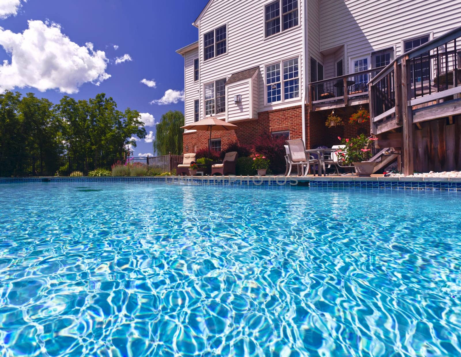 Dramatic back yard swimming pool and garden behind modern single family home