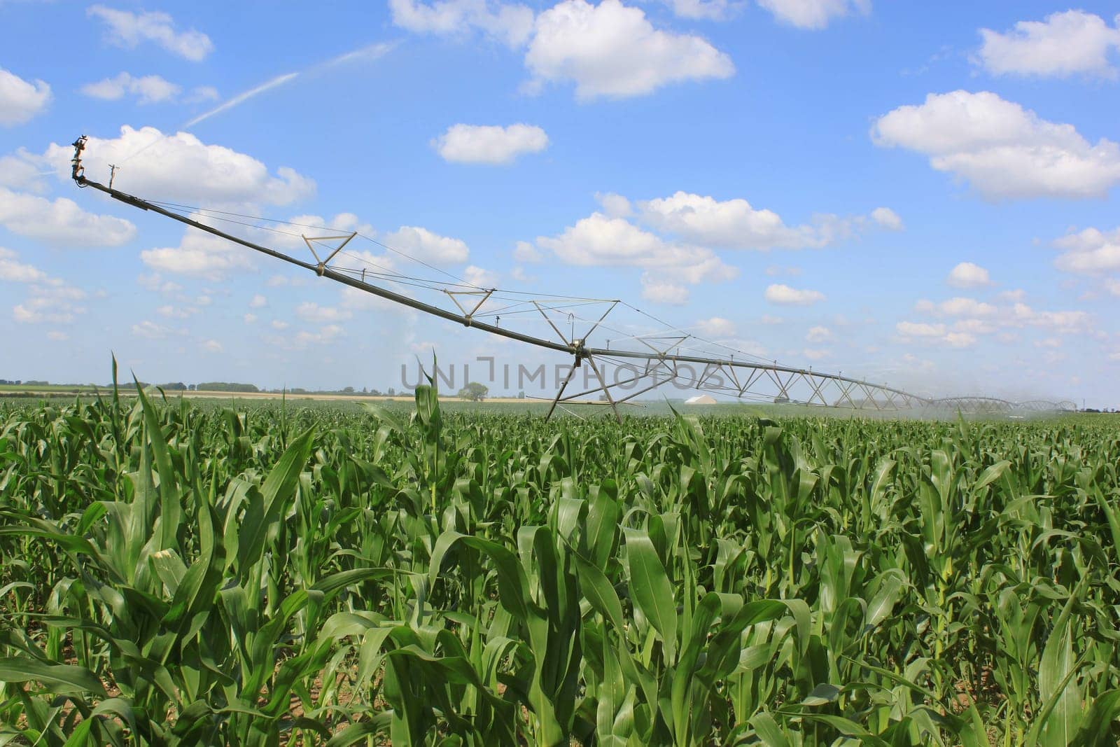 an irrigation system for agriculture in a grain field